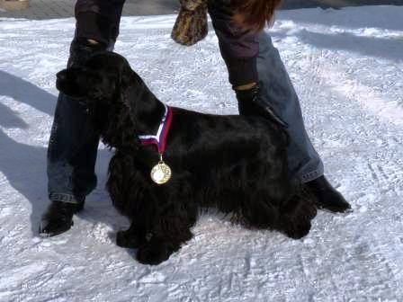 23.1.2010 MVP Trenčín - V1 CAC, rozhodčí Vítková